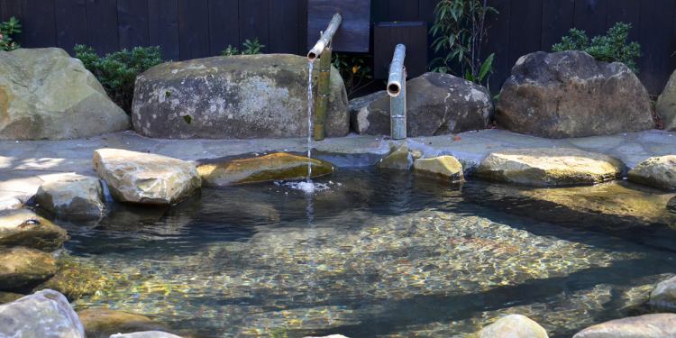 温泉 そのぎ茶温泉里山の湯宿 つわぶきの花