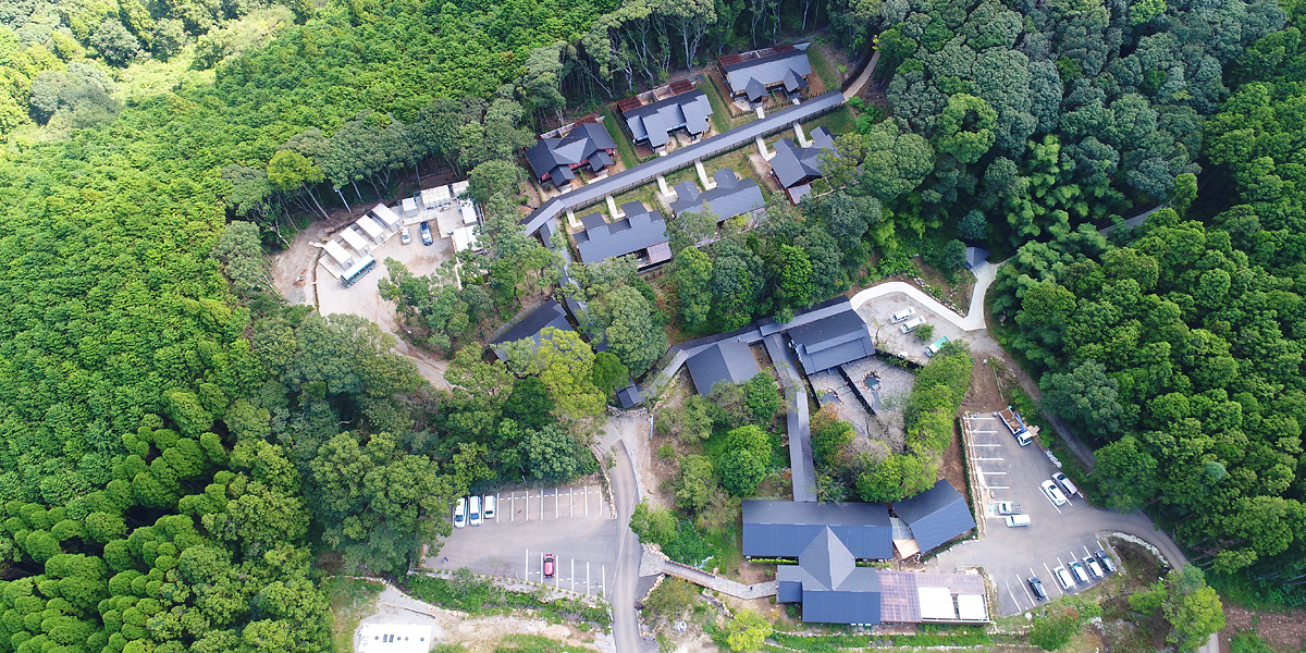 公式 そのぎ茶温泉里山の湯宿 つわぶきの花