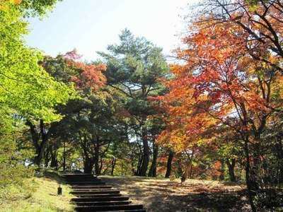 上ノ山公園の紅葉 と ときめきデッキからの眺望 伊香保温泉 和心の宿大森 親しみやすくあったかで心和む宿