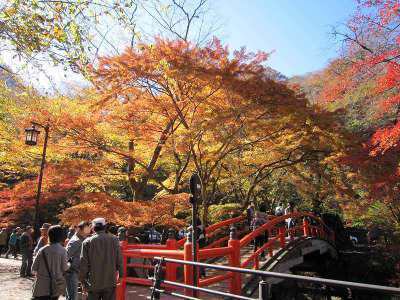 伊香保温泉 湯元 河鹿橋 の紅葉情報 Vol 5 伊香保温泉 和心の宿大森 親しみやすくあったかで心和む宿