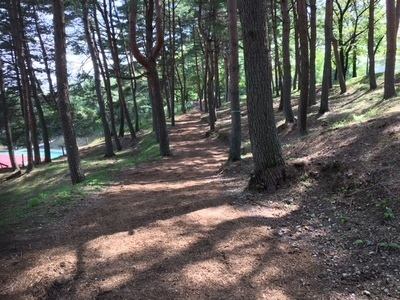 渋川市総合公園陸上競技場利用開始について 伊香保温泉 和心の宿大森 親しみやすくあったかで心和む宿