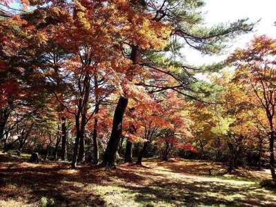 上ノ山公園の紅葉 と ときめきデッキからの眺望 伊香保温泉 和心の宿オーモリ 親しみやすくあったかで心和む宿
