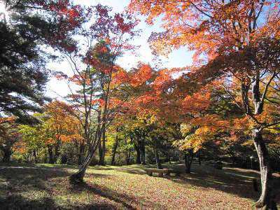上ノ山公園の紅葉と ときめきデッキからの眺望 伊香保温泉 和心の宿大森 親しみやすくあったかで心和む宿