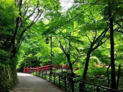 季節はもう 新緑 から 深緑 へ 伊香保温泉 和心の宿オーモリ 親しみやすくあったかで心和む宿