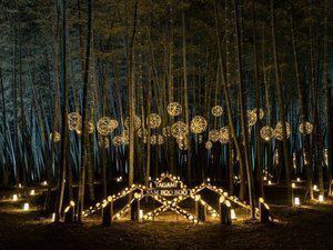 たがみバンブーブー2025【9月13日～10月13日】 | 湯田上温泉 越後乃お