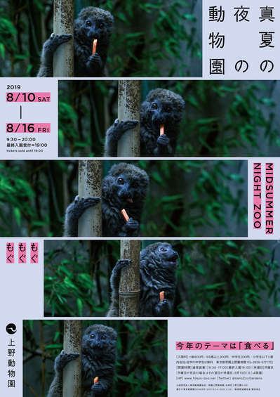上野動物園で今年も 真夏の夜の動物園 やりますよ 上野ファーストシティホテル