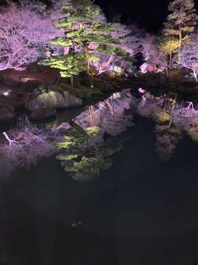 由志園 クリスマスイルミネーション なにわ一水