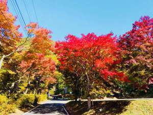 今年も紅葉の季節になりました 塩原温泉 全室客室風呂付 プチホテル ユーフィール