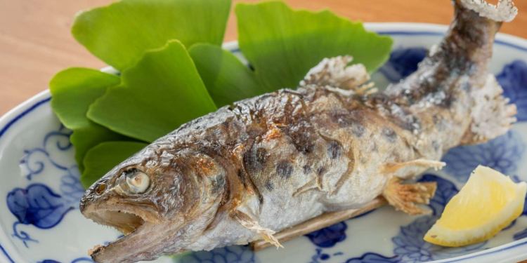 お料理 黒川温泉 旅館 南城苑