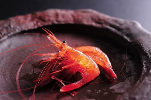 [Limited Edition] Dance eating of live Nanban shrimp (sweet shrimp)