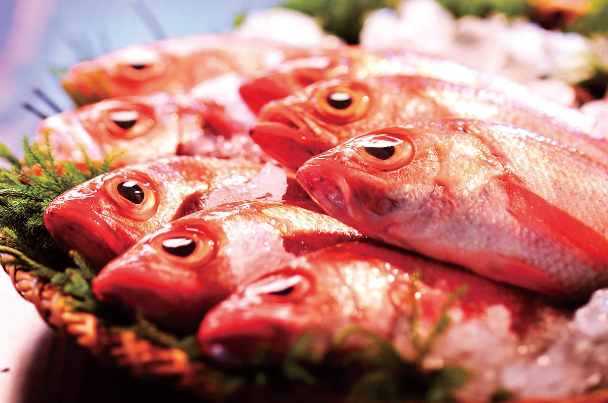 御徒町徒歩2分！新潟の地酒と産地直送の鮮魚をご堪能あれ♪