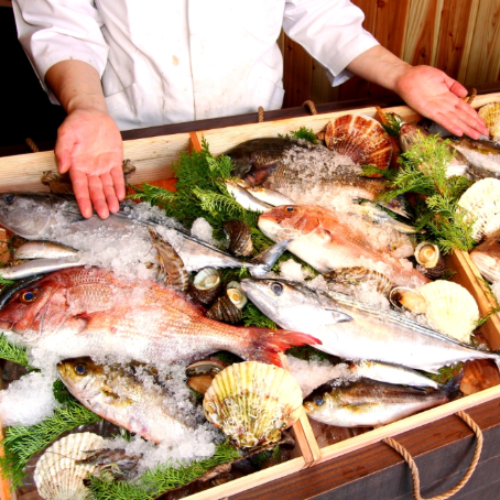 新鮮鮮魚の刺身盛り合わせ