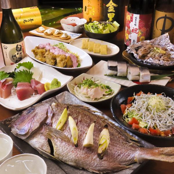 【全9品◆春の宴会コース90分飲み放題付き】4000円(税込)