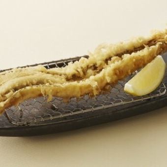 One conger eel tempura