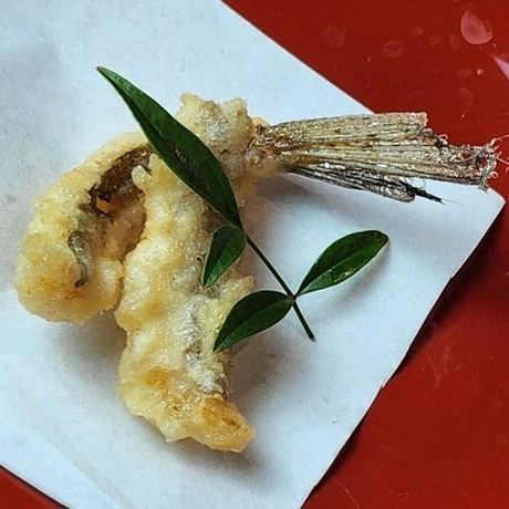 1 Megochi tempura