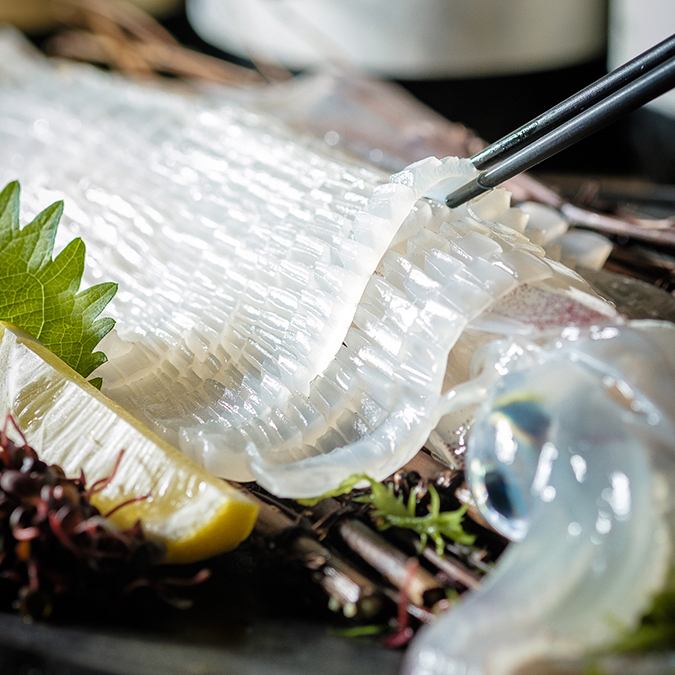 我們有博多獨有的新鮮魷魚等美味的鮮魚！