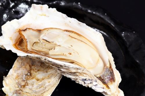 鮮度抜群！直送「牡蠣」