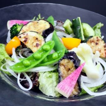 Fresh colorful salad [from local farmers]