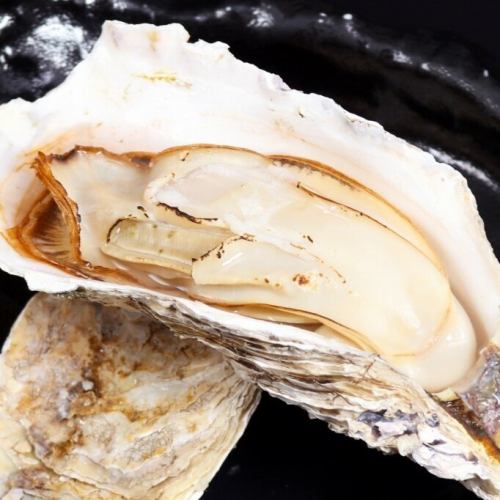 [仙鳳趾より] 鳳がき　焼きがき(一個)