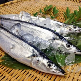 Grilled Pacific saury one