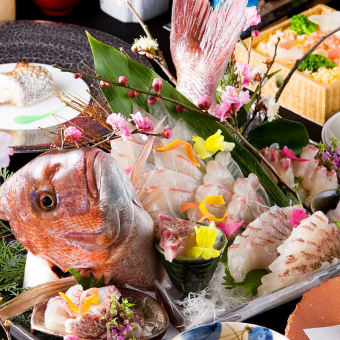[Private room guaranteed ◆ Luxury Sashimi Course] Delivered directly from the fishing port! Luxury Sashimi of Red Sea Bream <3 hours all-you-can-drink with draft beer/Total of 9 dishes> 7,000 yen