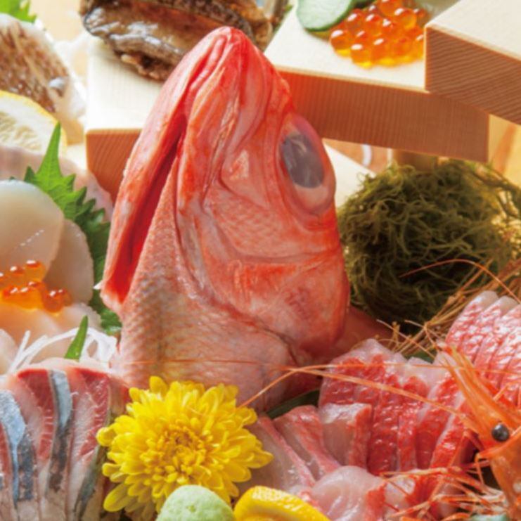 その日仕入れた新鮮な魚介や季節に合わせた食材を使ったメニューが盛りだくさん！！