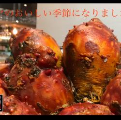 Freshly caught sea squirt from the coast of Miyagi prefecture, sashimi