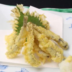 Setouchi small sardine tempura