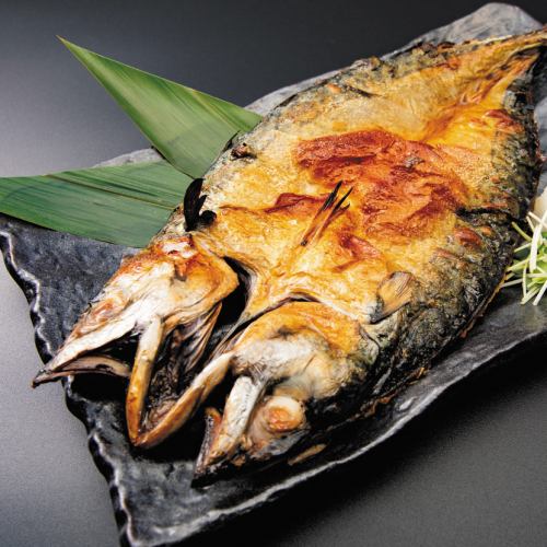 Salt-grilled mega fatty mackerel