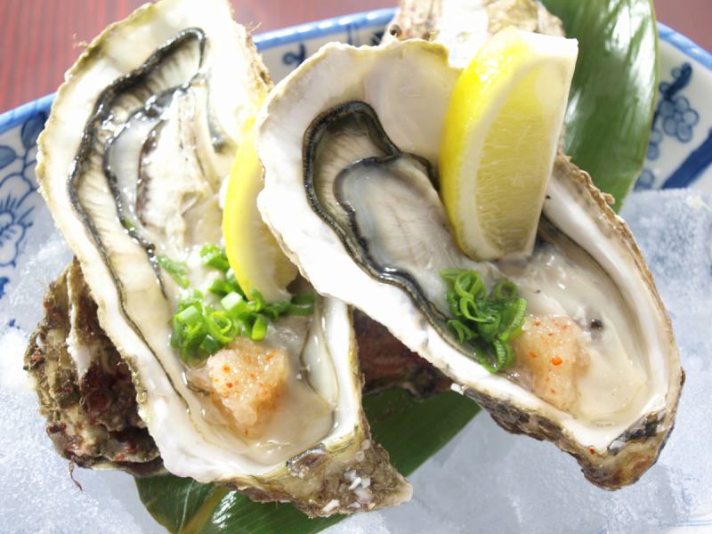 [Oysters in the shell from Ishinomaki]…Available almost all year round