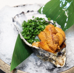 奖励!牡蛎和海胆