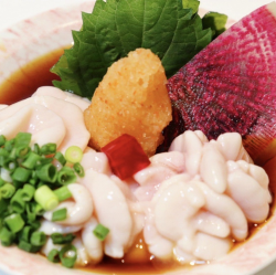 太刀橙子【限时优惠】