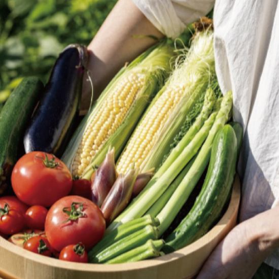 北海道産・十勝産産地直送野菜！旬の厳選食材を使っています
