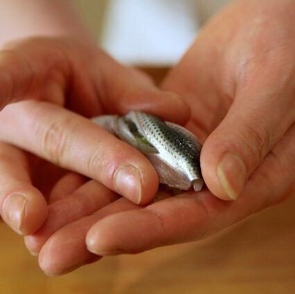 昼数量限定 握りセット◆5500円(税込)