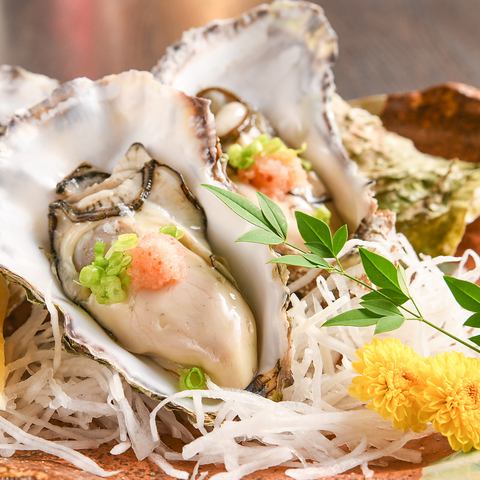 Excellent! Raw Oysters from Miyagi Prefecture