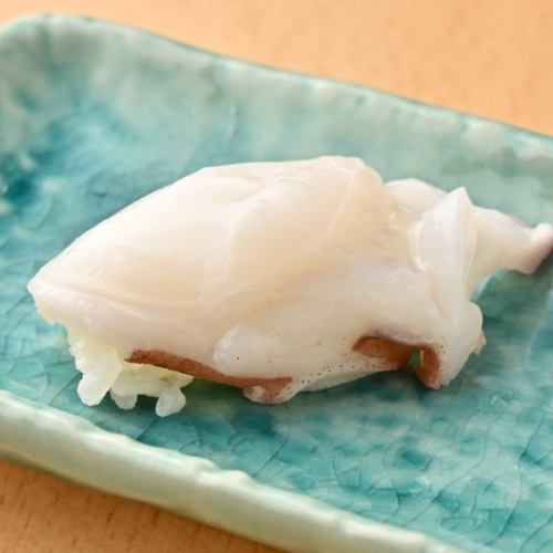タコ
