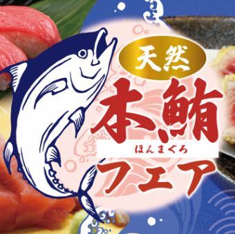 【天然マグロ】会席コース　120分飲み放題付き　
