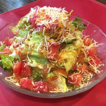 Tomato and freshly grated cheese salad