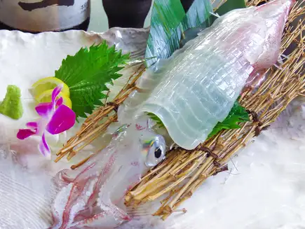 【月～木限定】ヤリイカ三昧！豪華8品 120分飲み放題付 九州男の本気イカ尽くしコース4400円税込