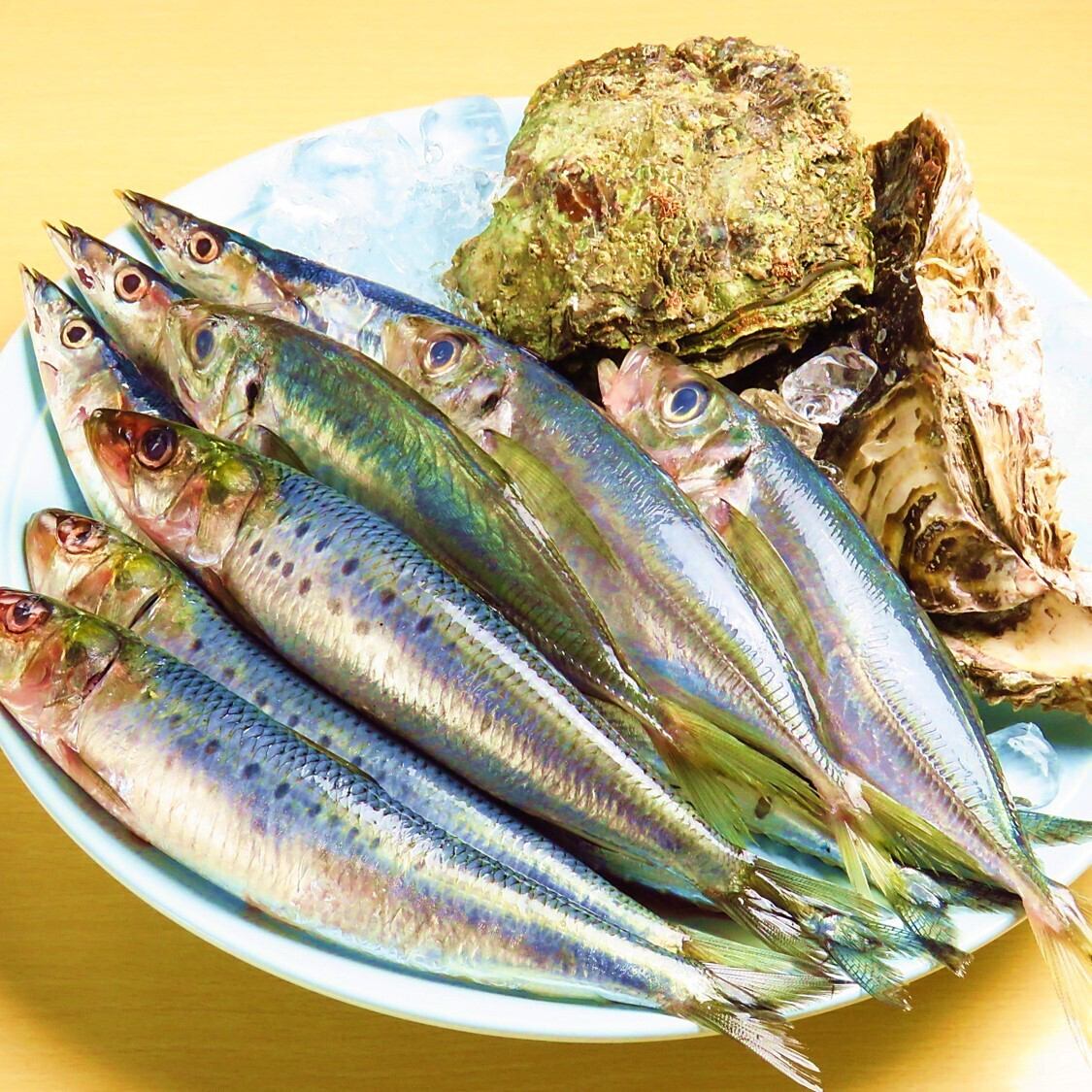 旬なお魚をはじめコース料理も充実しております
