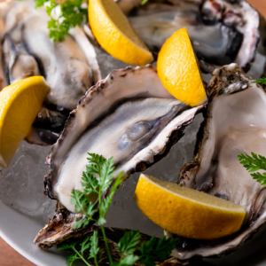 Today's carefully selected fresh oysters, direct from the farm