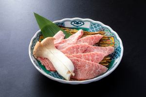上赤身