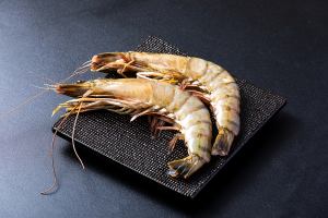 有頭海老