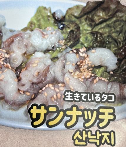 サンナッチの踊り食い☆