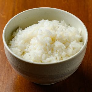 ライス（中）