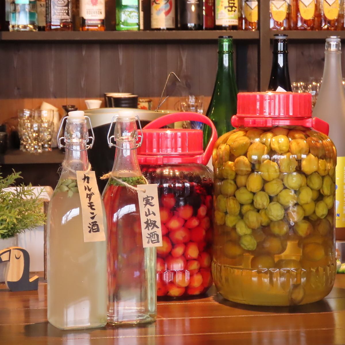 ほっこりする家庭の味。何度も通いたくなる古町の隠れ家居酒屋