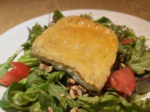 Spanish goat cheese salad with berry dressing