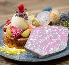 【附贈紀念盤】慶祝活動的完美選擇！和牛臀肉套餐（共10道菜）⇒ 5000日圓