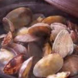 Large clams steamed in sake