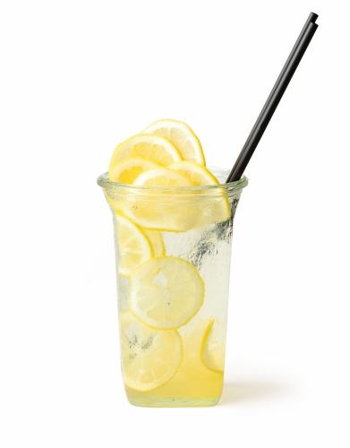 Fruit Lemonade